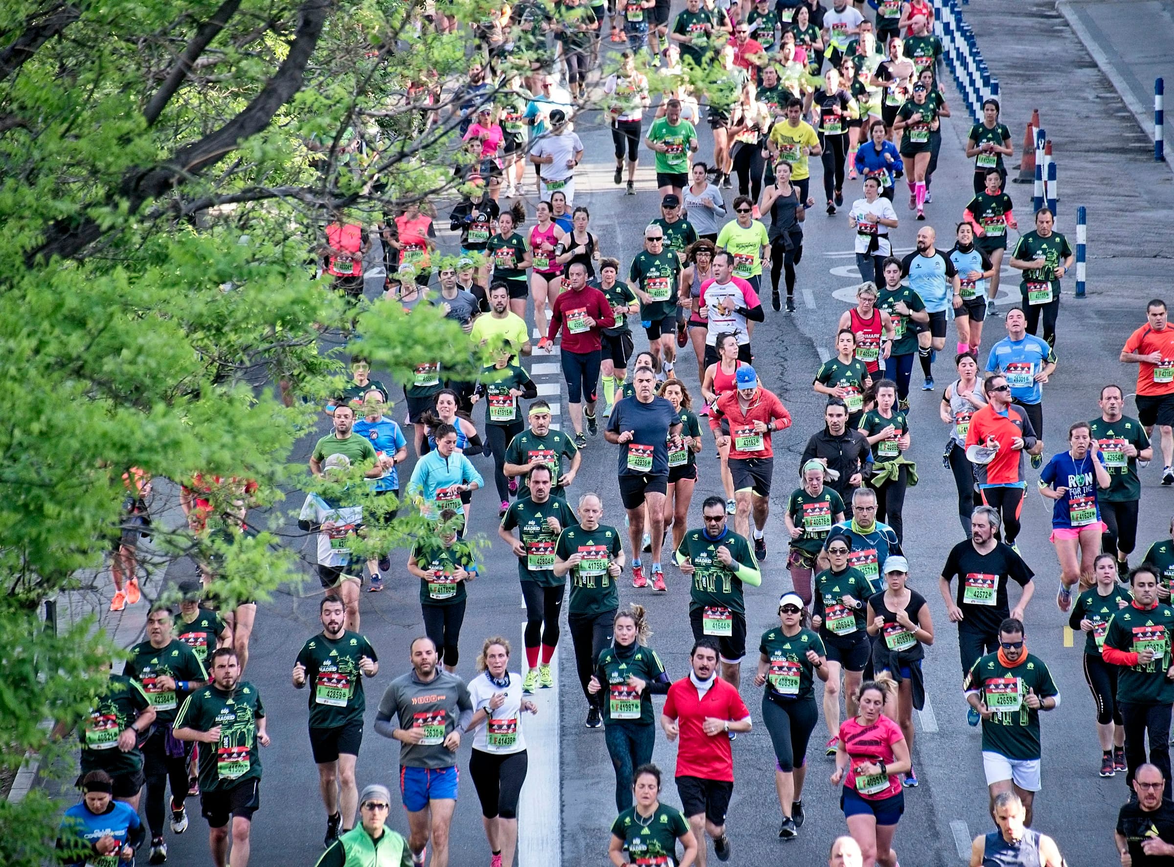 Multitud de corredores en una avenida con árboles